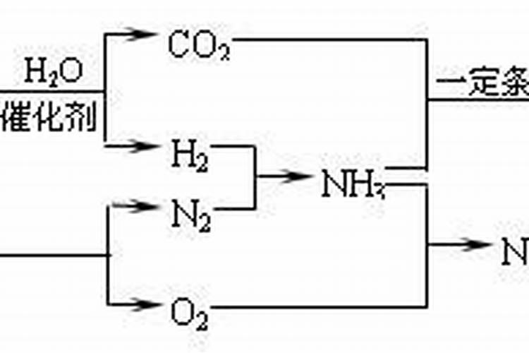 小葱用什么肥料长得粗