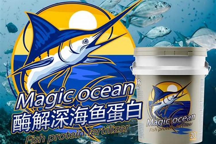 一些好吃的零食推荐？