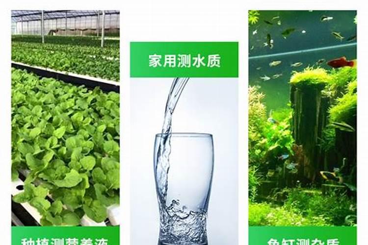 水溶肥是什么肥料,水溶肥怎么用效果好,注意事项