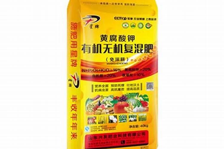 辣椒叶片扭曲需及时补充硼肥