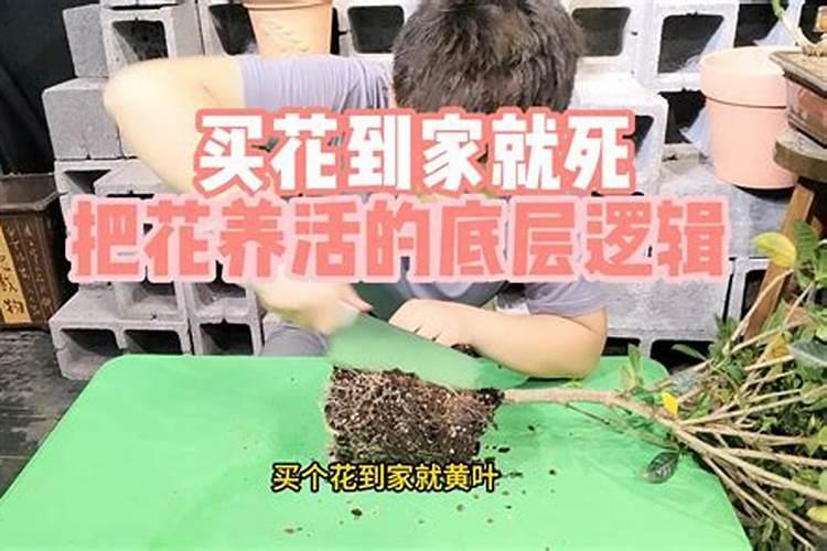 有些农户购买农资产品喜欢舍近求远,不就近买,这是为何？