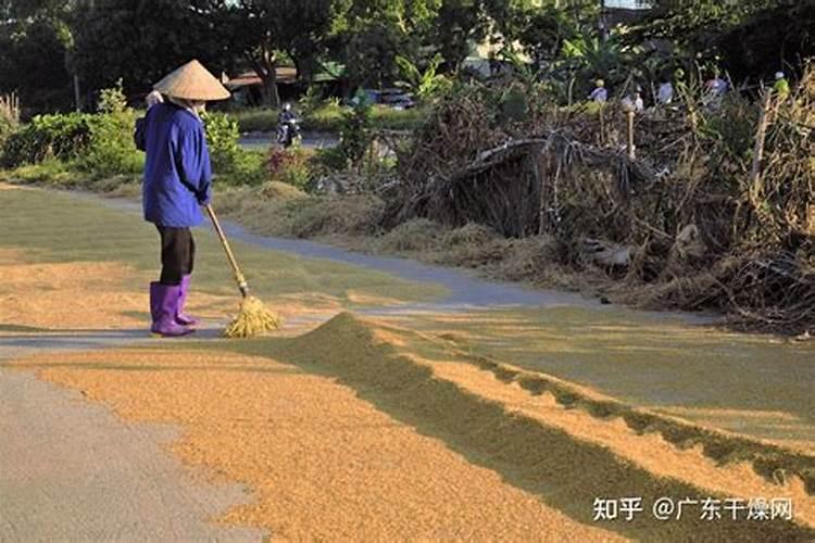 广西华沃特百分35桉树肥价格
