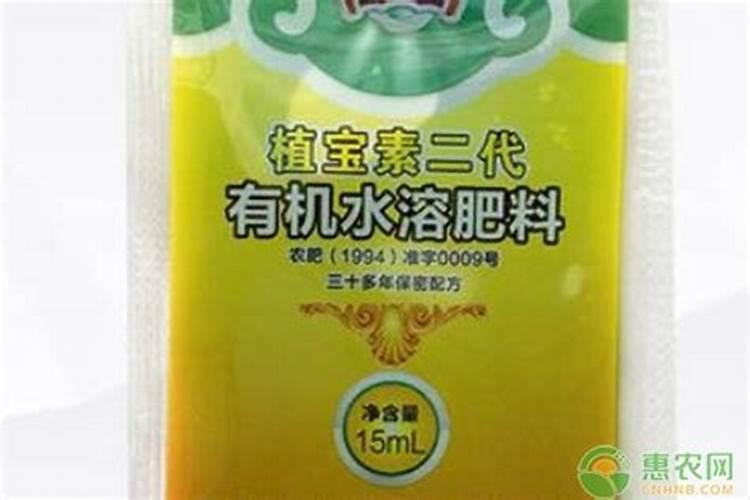 稳固地基种什么植物