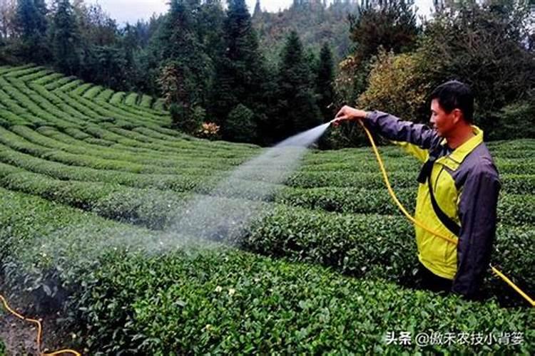 用于农作物防冻害的药都有哪几种？