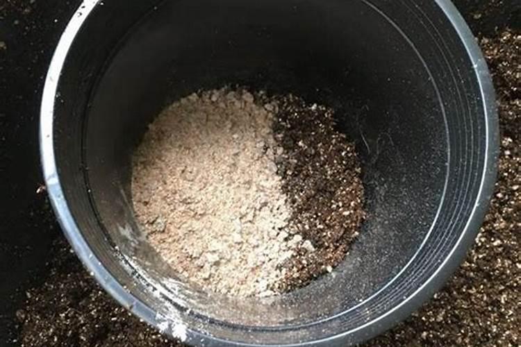 草莓种植二安做底肥行吗？