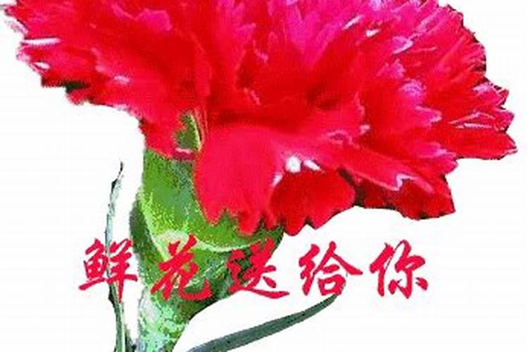 氮磷钾肥在果菜中分别起到什么作用