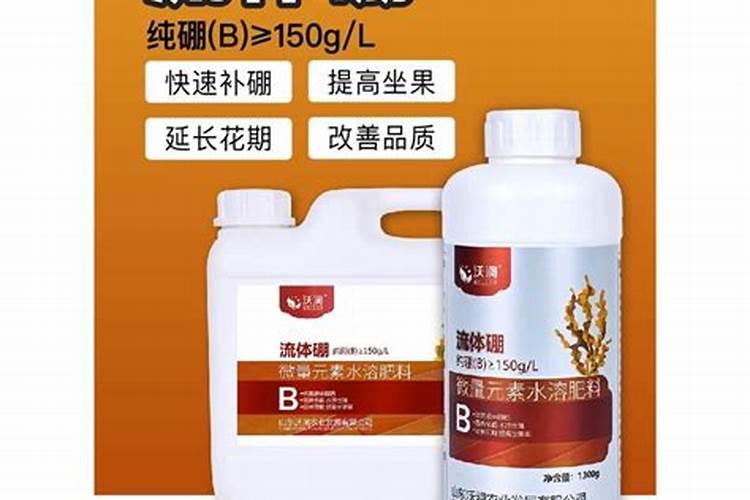 晚白柚的保果疏果