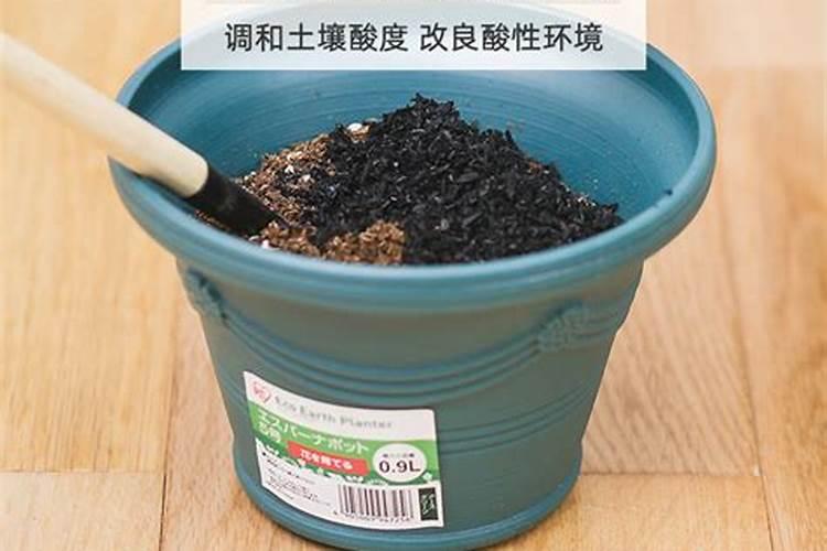 养花时对土壤进行杀虫杀菌哪种药物效果最佳