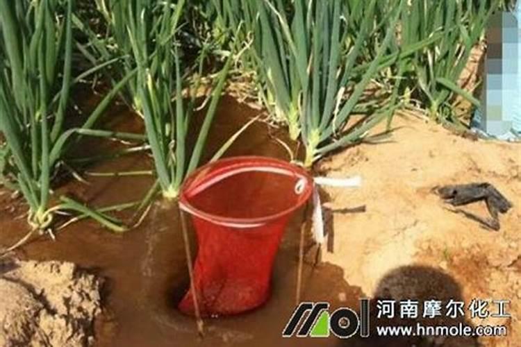 冬季下雪天可以使用水溶肥吗
