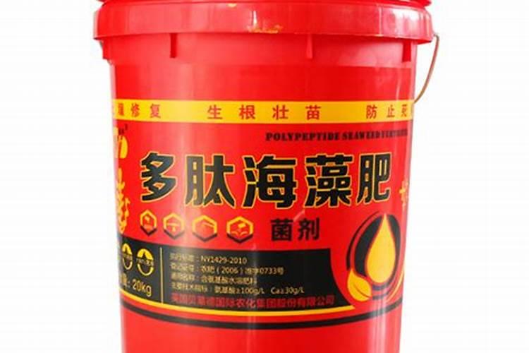 海藻肥是什么肥？了解海藻肥的作用