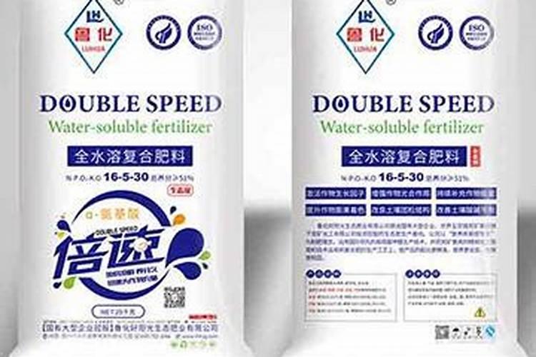 五针松能否在阳光下暴晒？