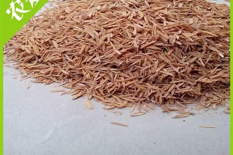 水稻施氮肥与硅肥间隔多少天？