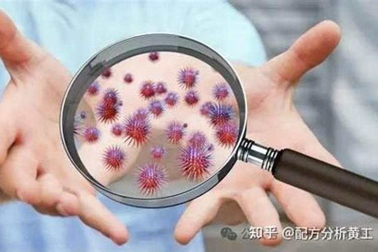 预防病毒病害的杀菌剂有哪些