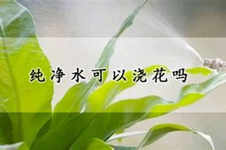 用什么化肥养鱼
