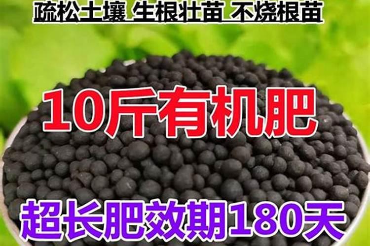 绿萝用什么肥料叶子绿,叶子不绿怎么办