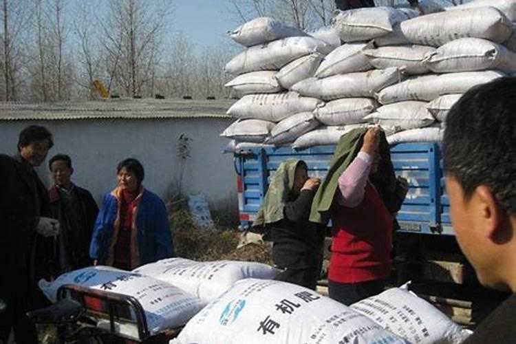 农民买了假种子假化肥怎么办