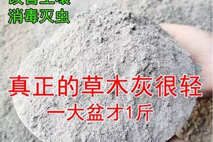 草木灰可以直接拌土用养花吗