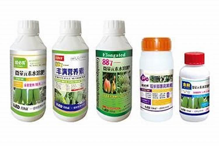 花卉壮根用什么肥料;植物肥料有哪些