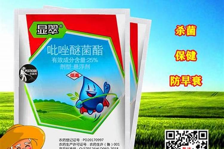 早熟苹果什么时候施钾肥最好？