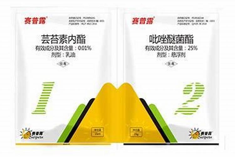 高氯吡虫啉阿维吡唑醚菌酯芸苔素混在一起能打辣椒吗