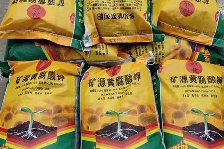 苹果树冲施肥大量元素好还是黄腐酸钾好？
