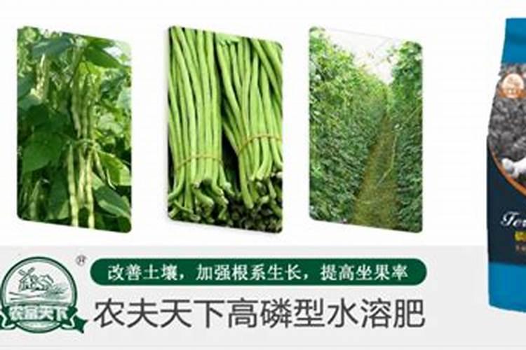 豆角冲什么水溶肥最好