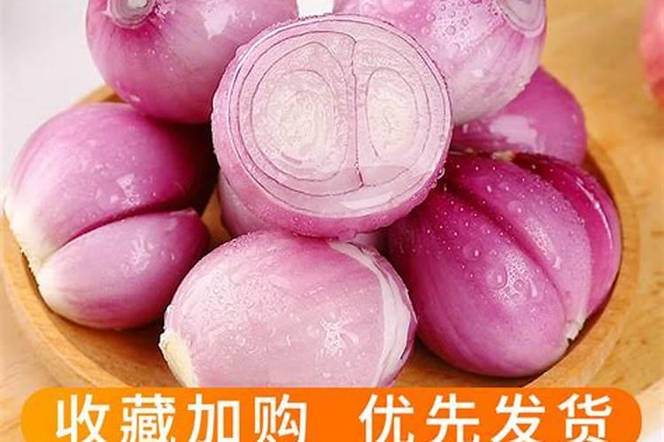 急求毛葱的种植技术