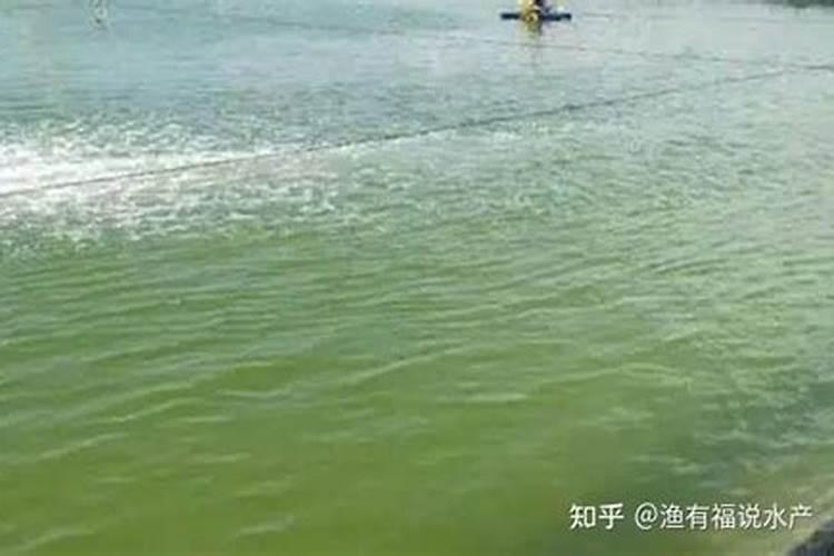 汉中化肥厂最出名的三个地方