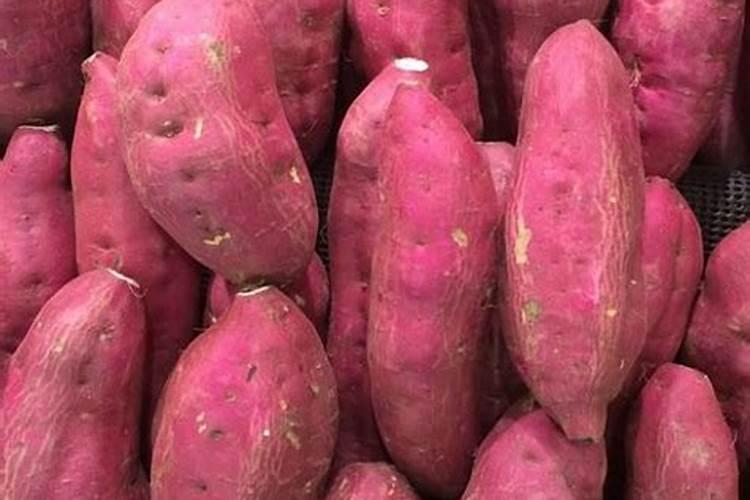 磷肥过量红薯叶发黄不长怎么办