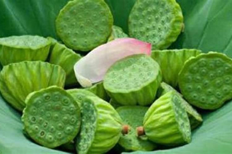 绣球花用什么肥料