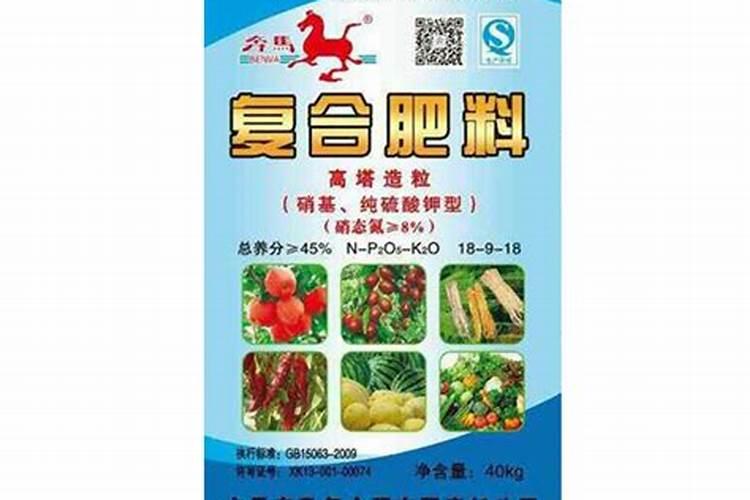 枇杷树怎样种植