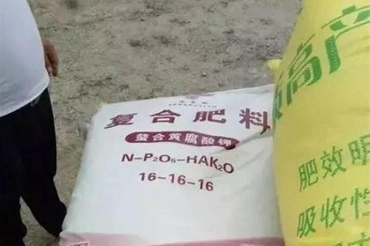 甘蔗追肥用什么肥料好