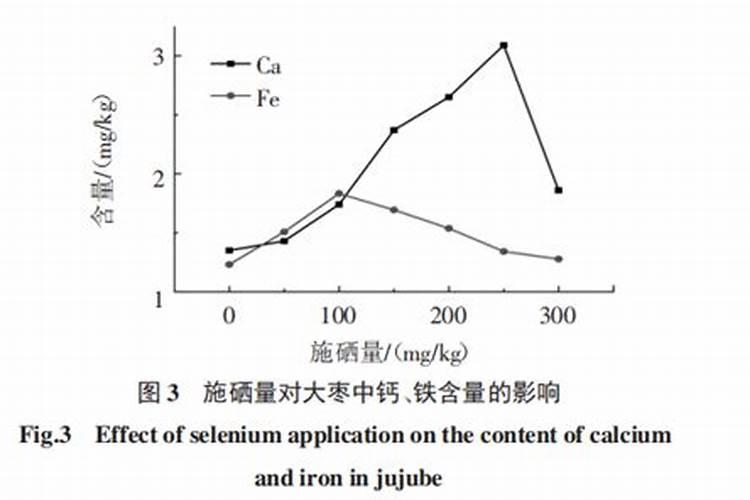 三角梅长花苞后容易出现徒长,花朵稀疏,如何养才能开成大花球？