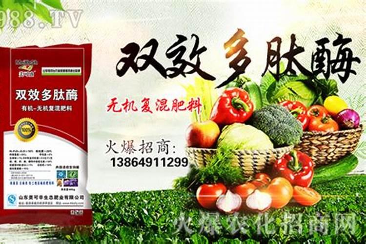 我想问问,种植春辣椒“艳红”用什么化肥更好