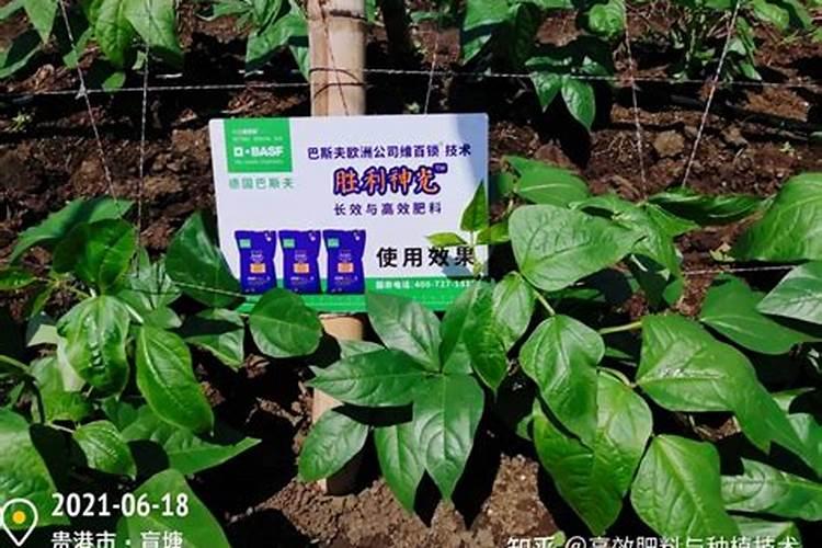 架豆角用氮肥,磷肥和钾肥多少含量合适？