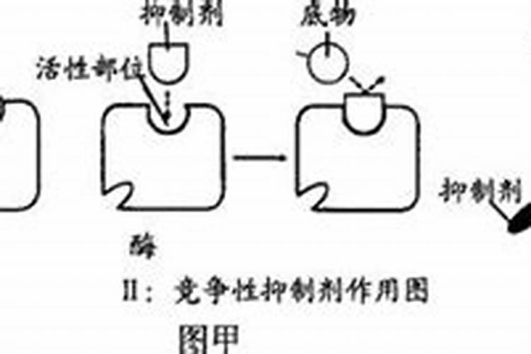 钾离子在机体的主要作用有哪些