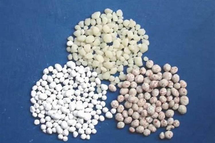 哪种肥料不属于有机肥料,有机肥料和无机肥料的区别
