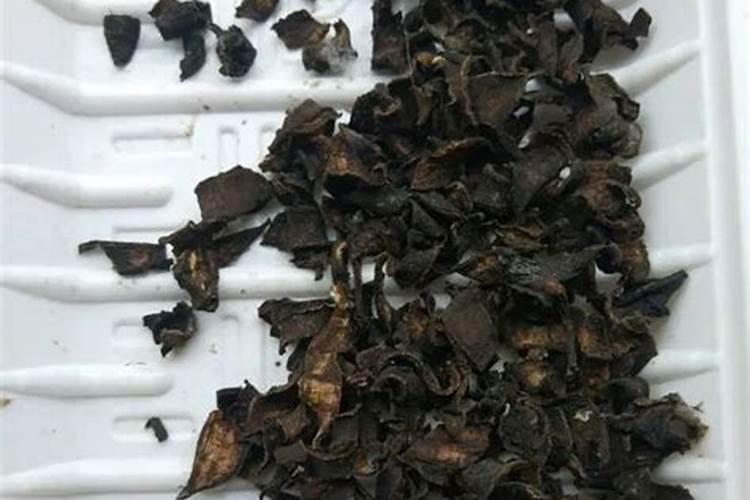 一亩烤烟用多少钾肥 什么时候施钾肥好