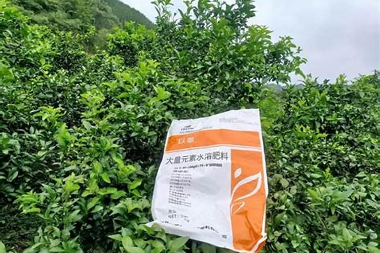 一亩烤烟用多少钾肥 什么时候施钾肥好