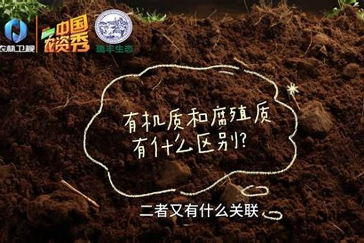 有机钾肥有哪些