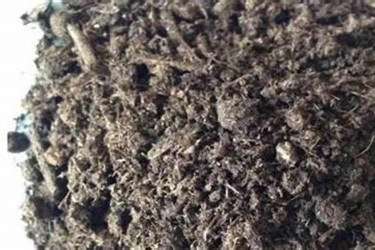 生菜追肥用什么肥料见效快(种生菜用什么肥料冲施最好)
