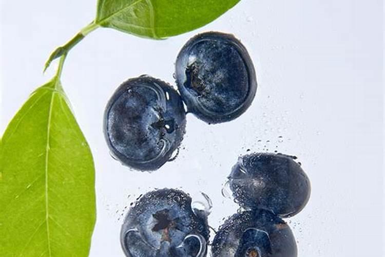 碳氨对植物有什么作用 碳氨肥水用法