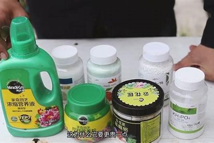 养花酸性肥料有哪些