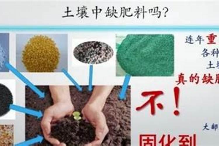 如何让板结的泥土松散