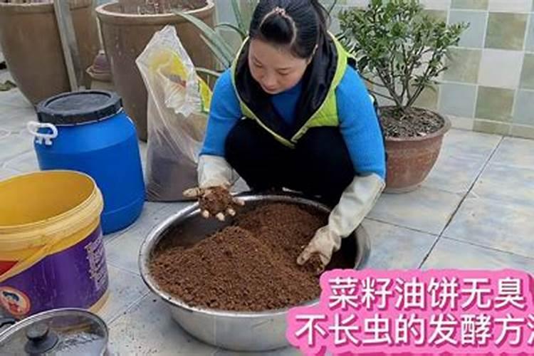 油菜的硼肥怎么施用？
