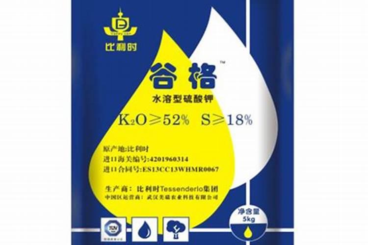 比利时杜鹃耐寒多少度最好(最耐寒的高山杜鹃品种)