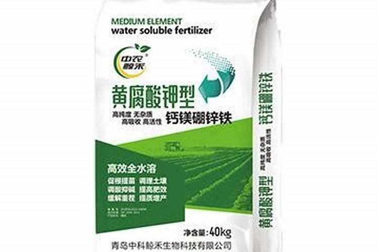 怎么判断酵母粉是不是好的 酵母粉怎么看坏了