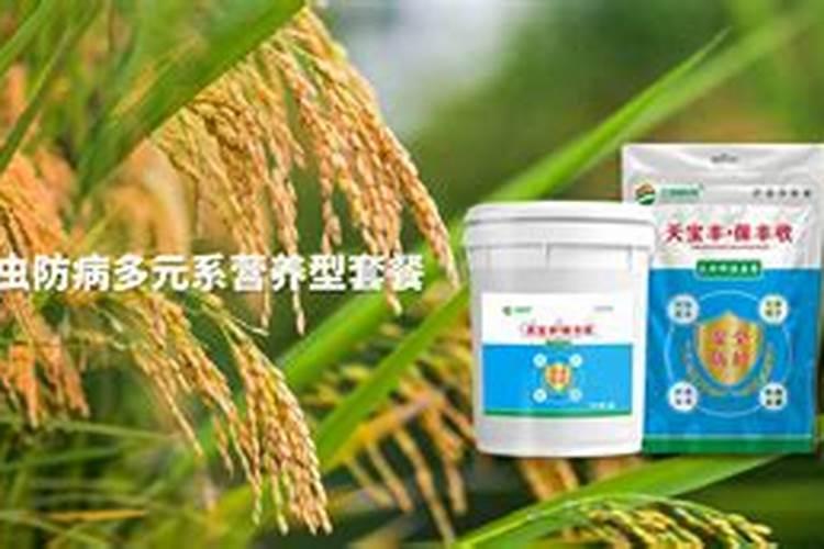玉米打芸苔素的危害
