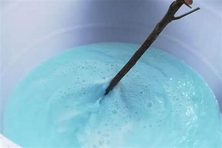 金银花黄叶沤根是咋回事？