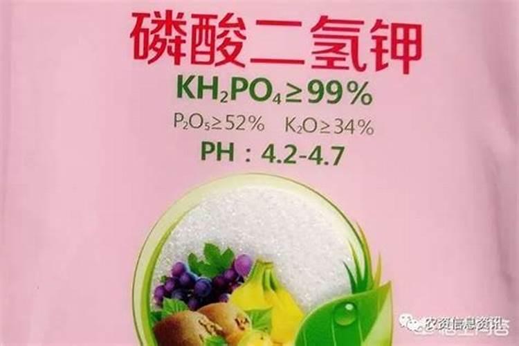 钙肥有哪些